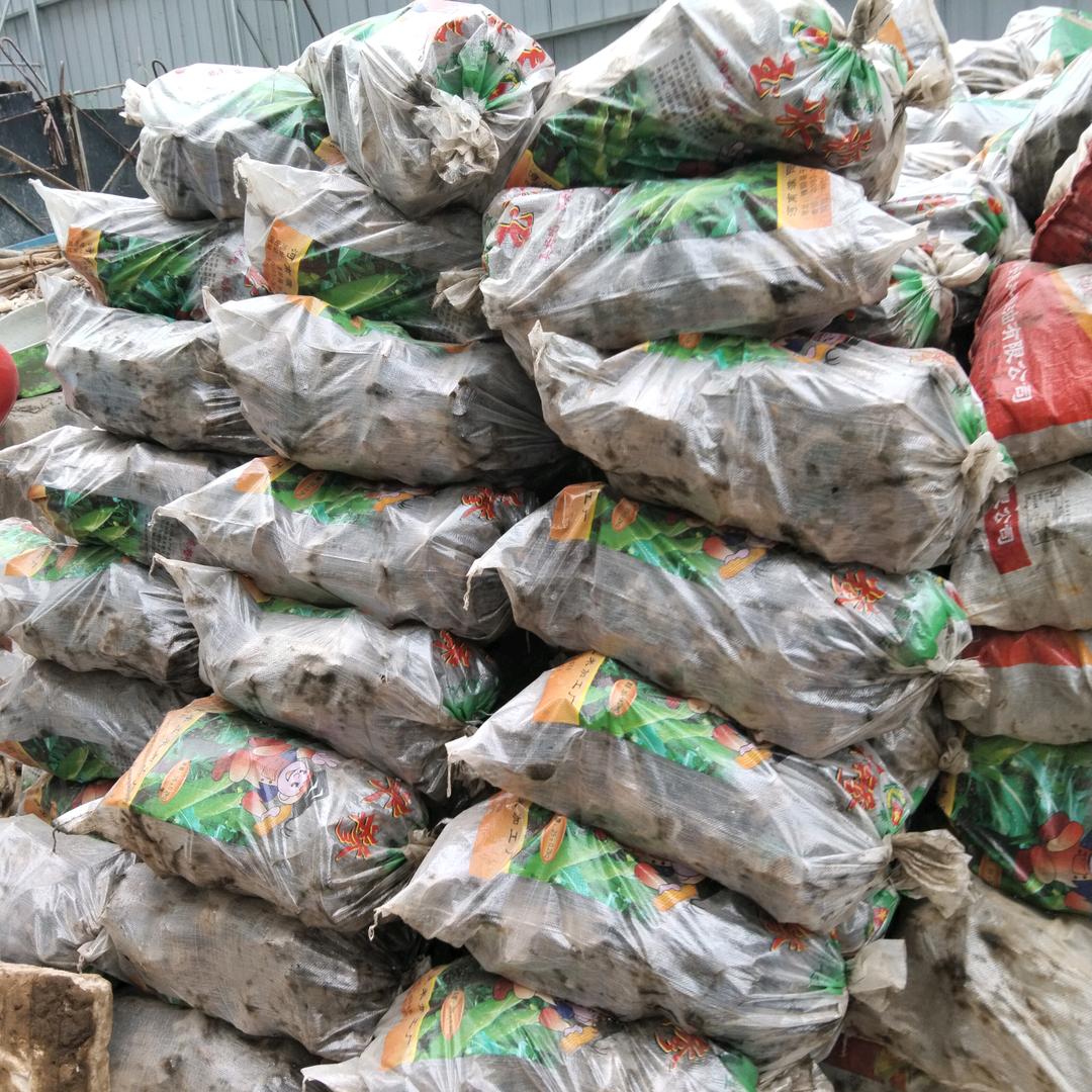 大量出售扣件钢管方管有需要可以联系