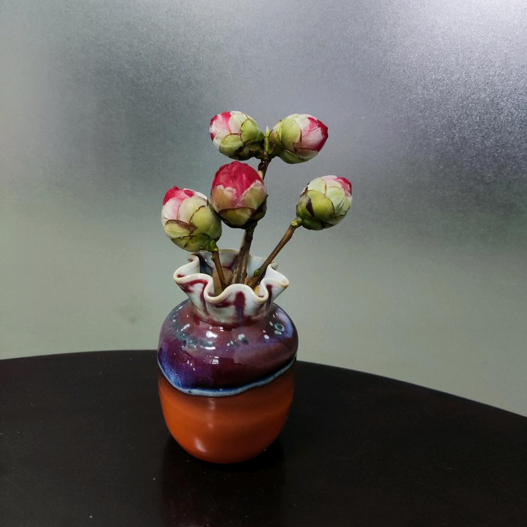 小韭菜🌱