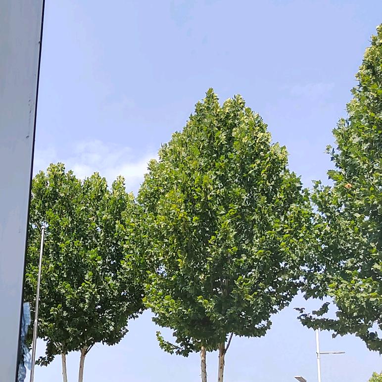 许昌牛师傅拆除团队