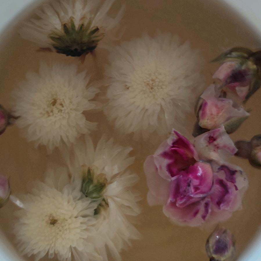 萍馨静祈