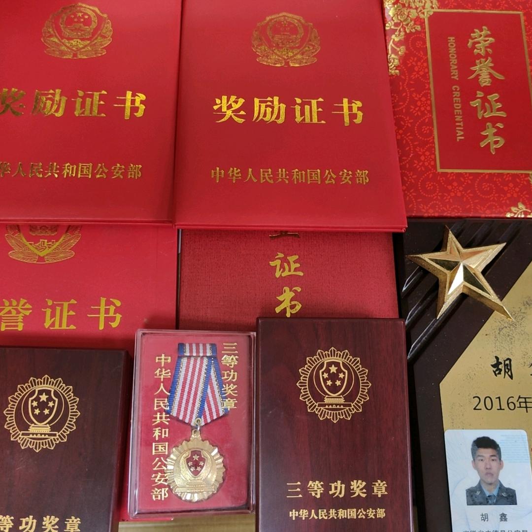 毒虎4