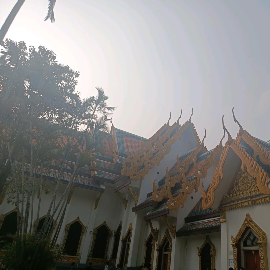 如果只得一星期
