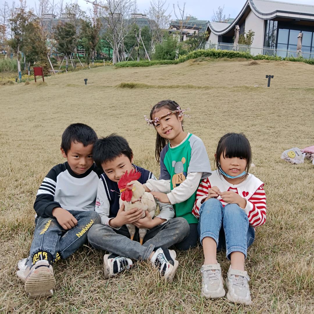 它的名字叫坤坤