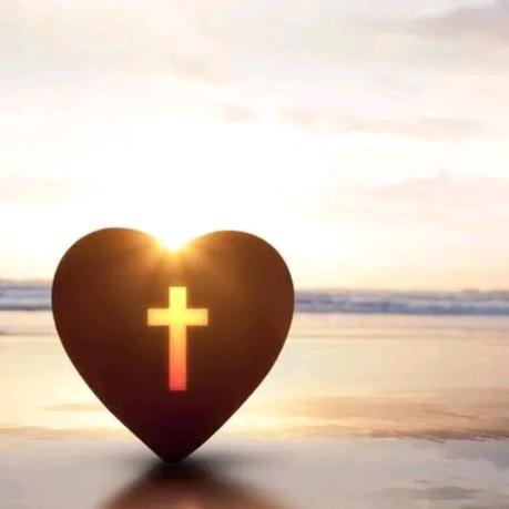 过往不恋，未来不迎77