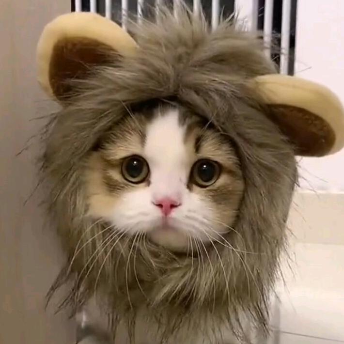 𝐖𝐈𝐍𝐍𝐄𝐑.