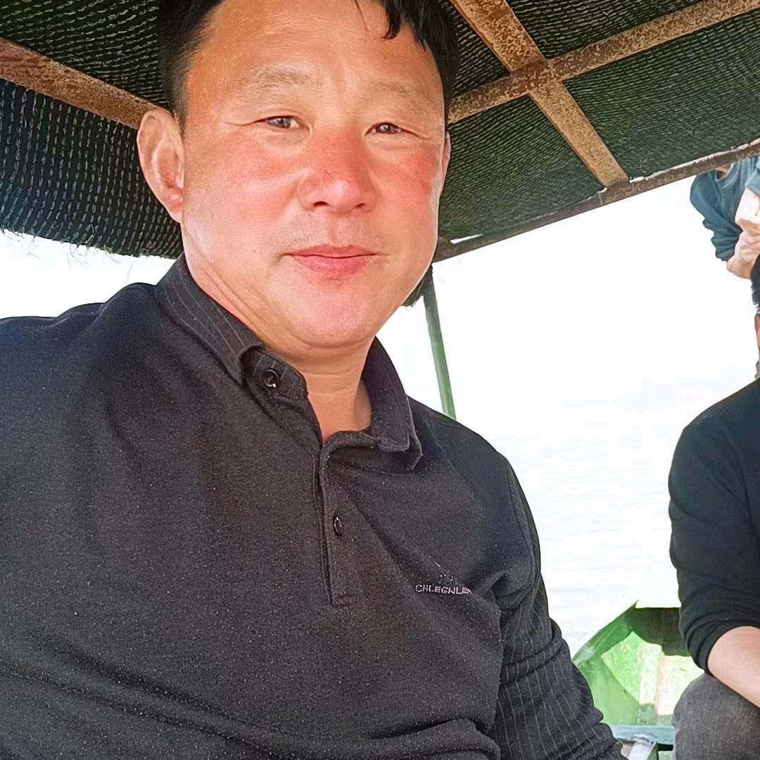 我是绿叶