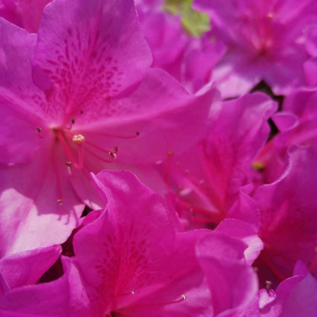 💜💛心雨💛💜