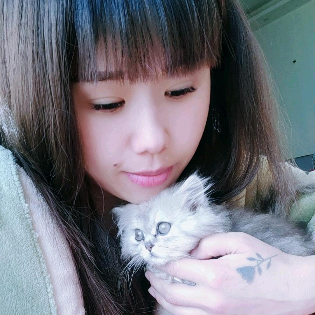 ㅤㅤㅤㅤㅤㅤㅤㅤㅤ戴家菇凉