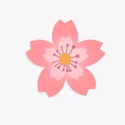 lucky~樱🌸