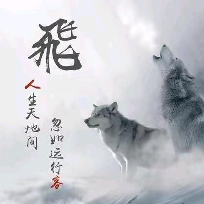 (｢･ω･)｢嘿为自己拼个未来