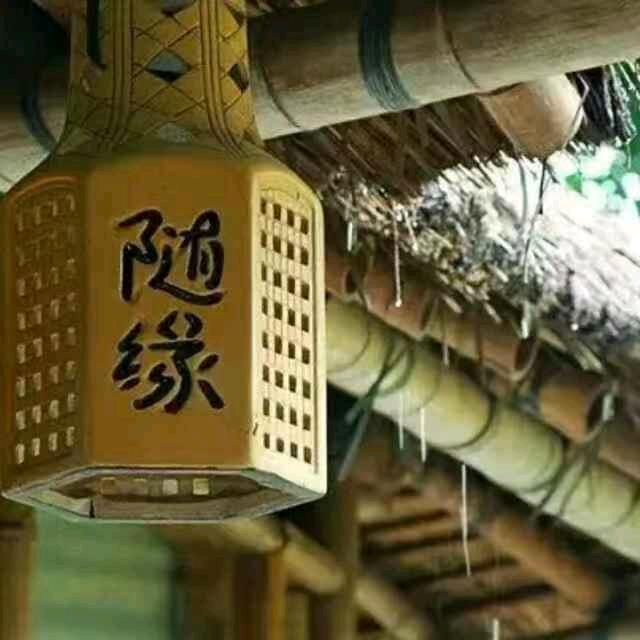 在路上  咸吃萝卜淡操心