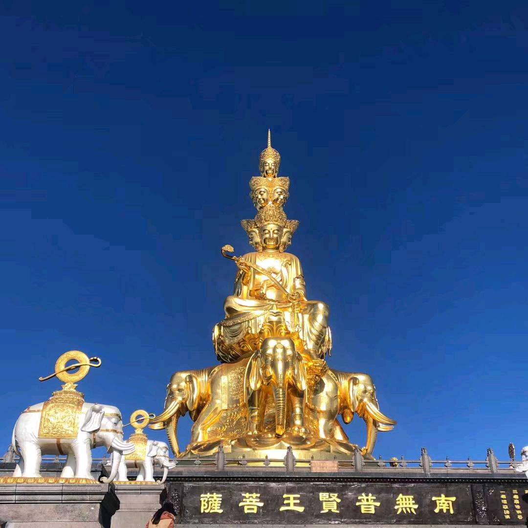 单身快乐每一天