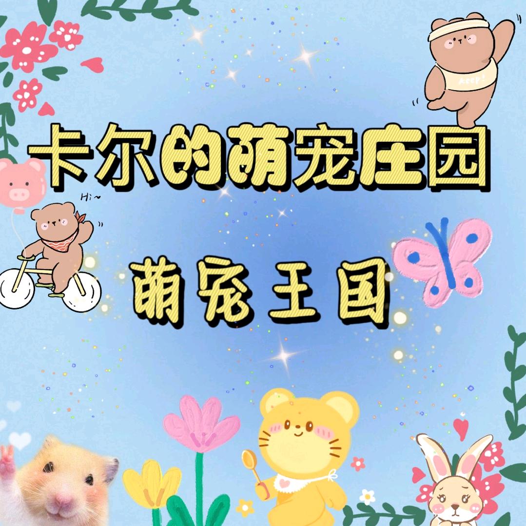卡尔的萌宠庄园（怀仁店）
