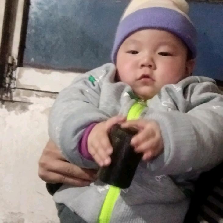 🌺花🌺花🌺世🌺界🌺