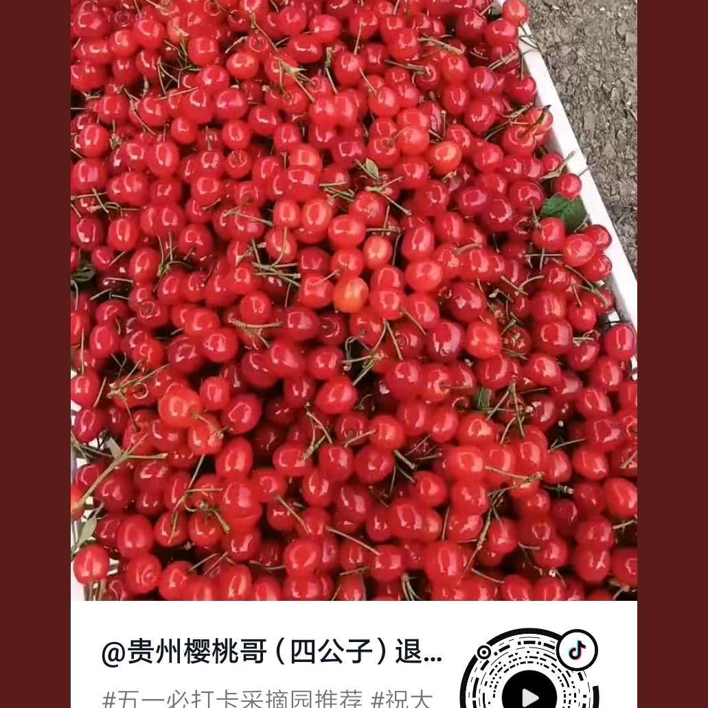 美丽的传说
