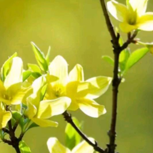 陪你成长（亦师亦友）