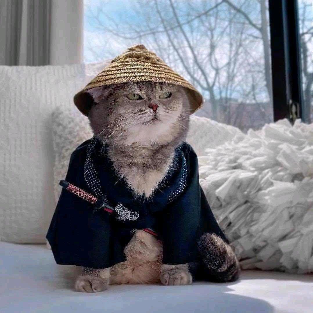 人間油物