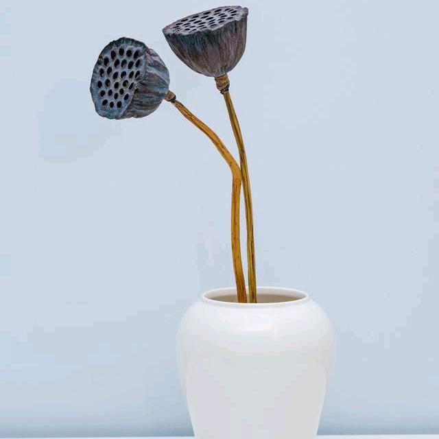 一颗棒棒糖🍭🍭