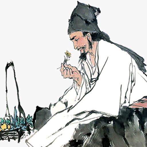 杏林说中医