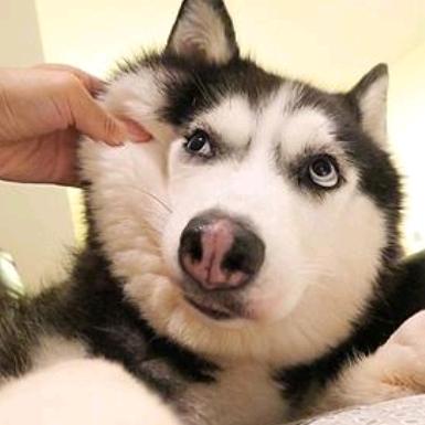 不知道想吃啥😬