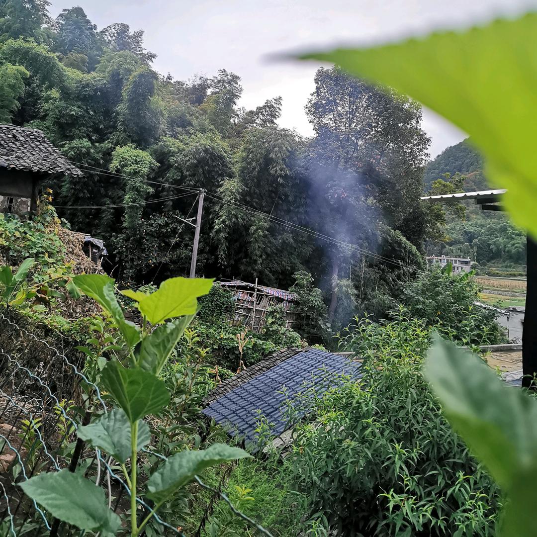 老李小院