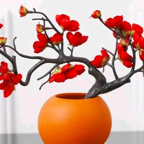 红红火火🔥🌈️🌈️