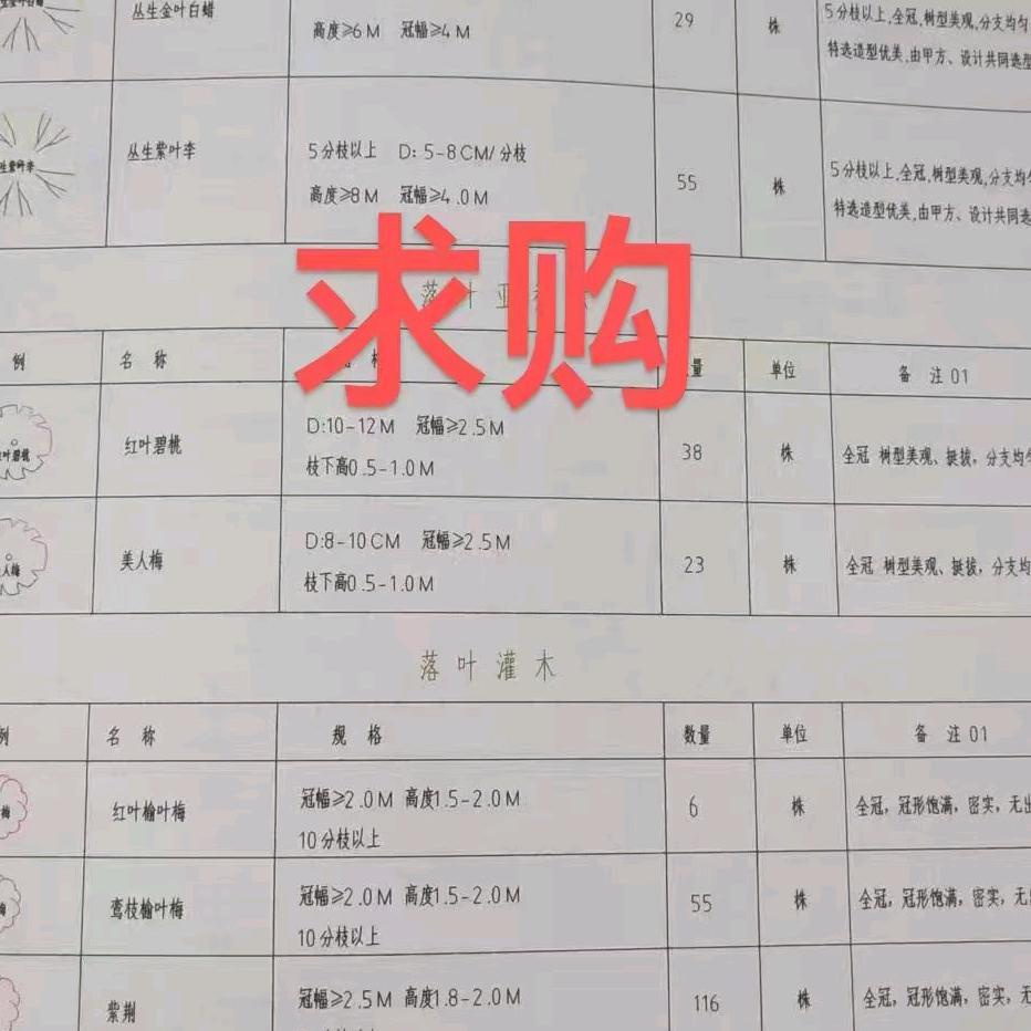 苗木求购~园林猫