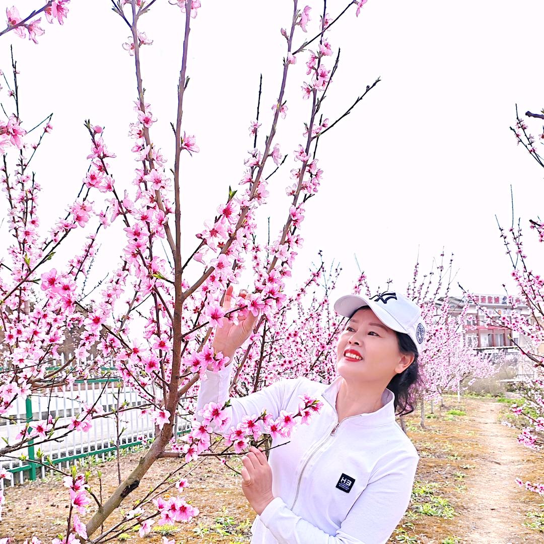 秋天的菊花  🍀️🌻️