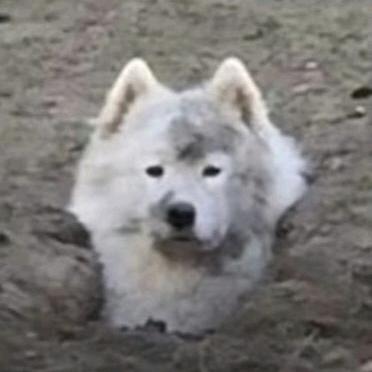 是个好人
