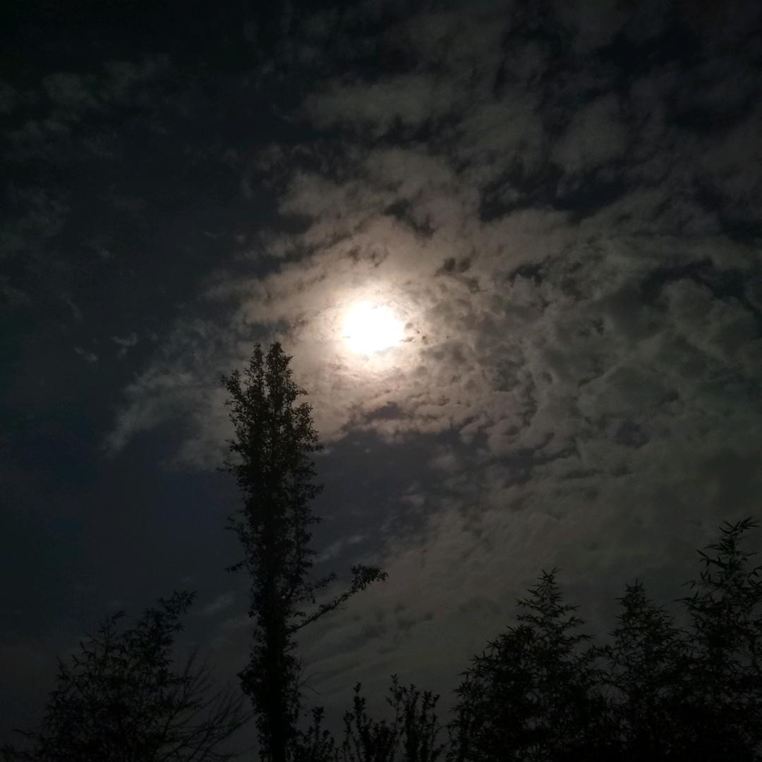高阳馆外酒旗风
