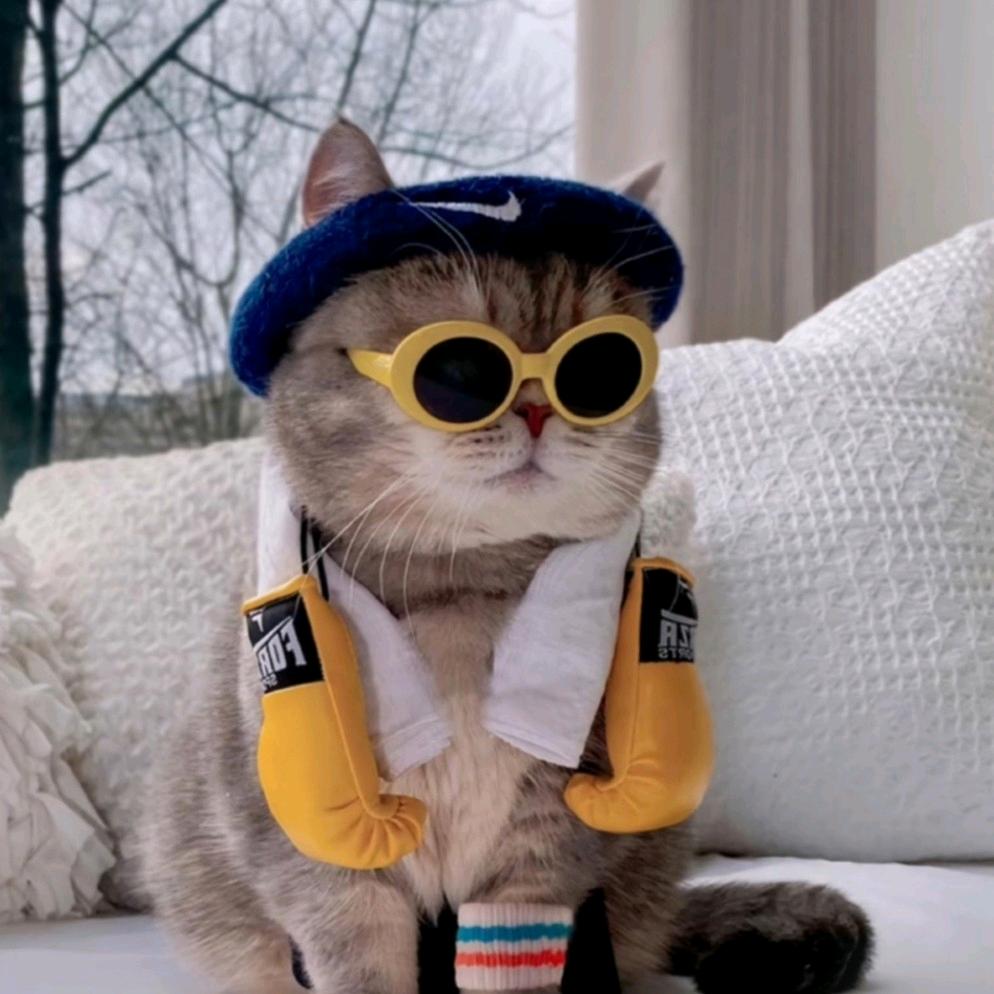 沈家巷地摊老火锅（中原世纪苑店）