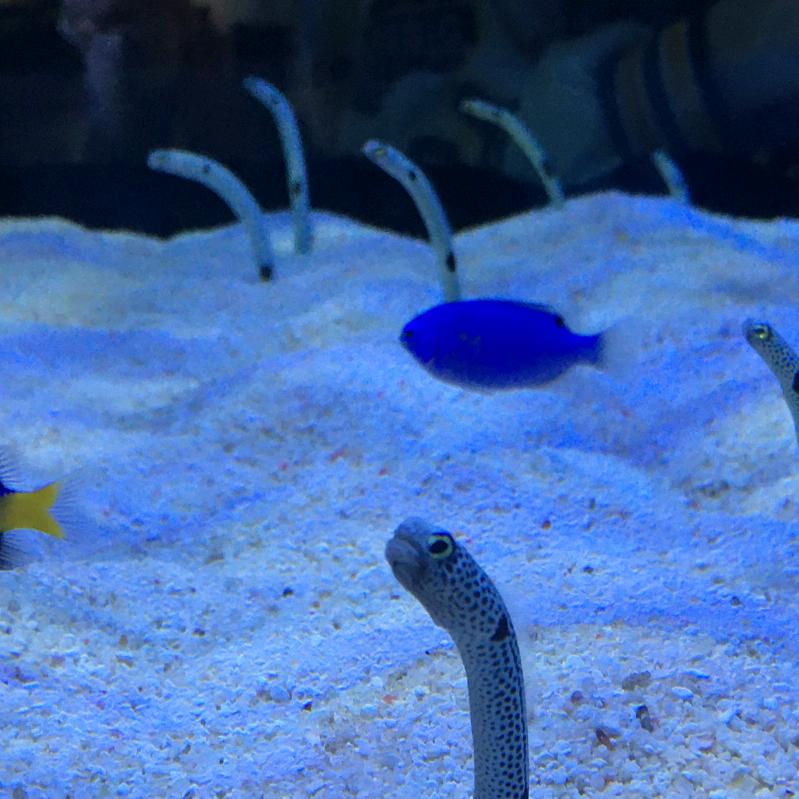 笑眯眯