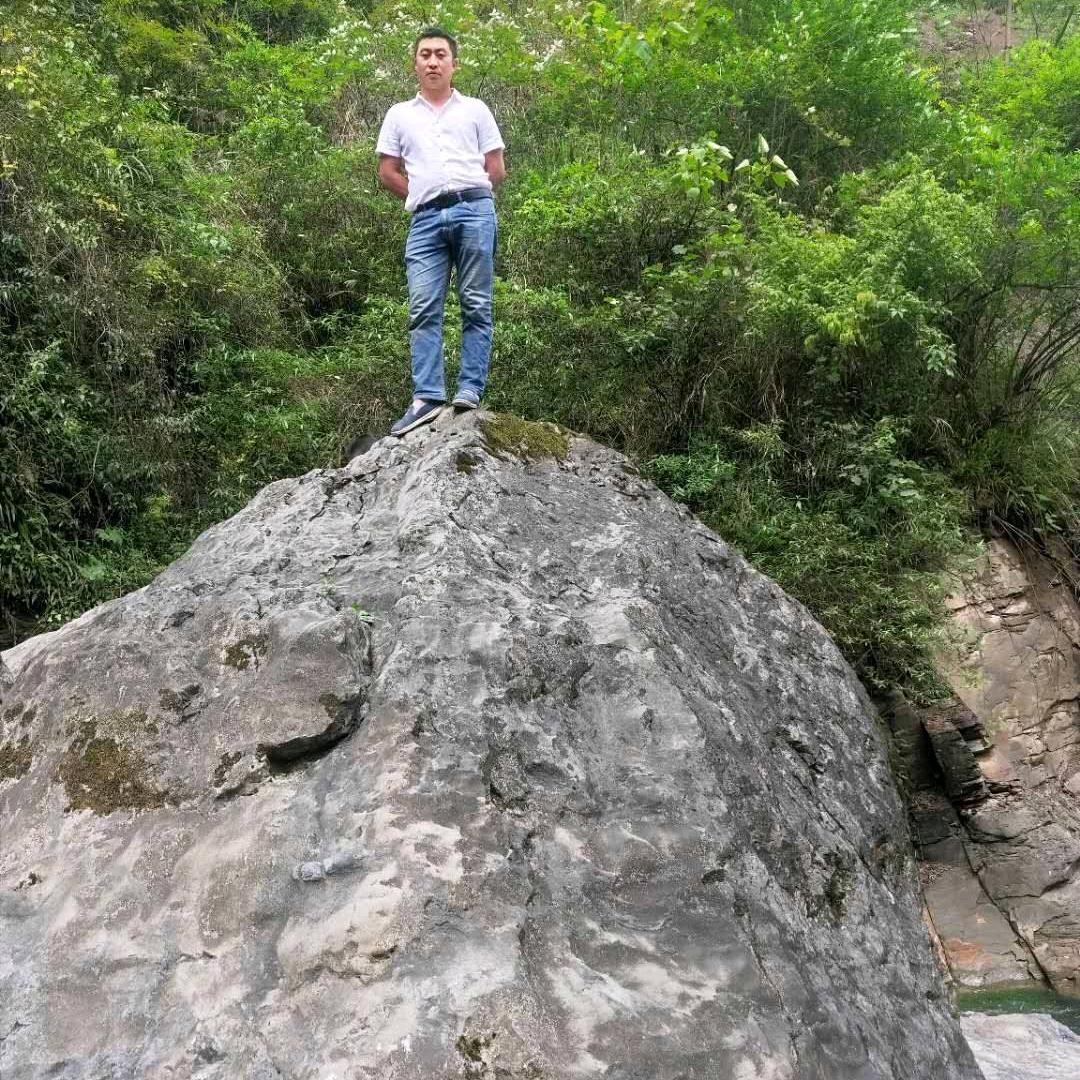 狼行天下战狼
