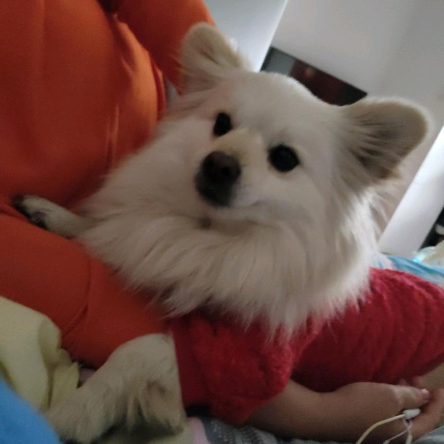 蓝莓庄园