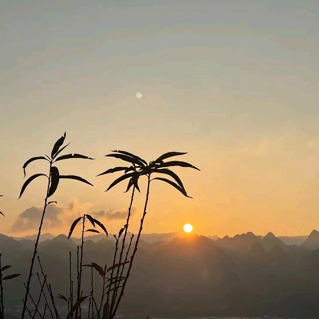 梦缘