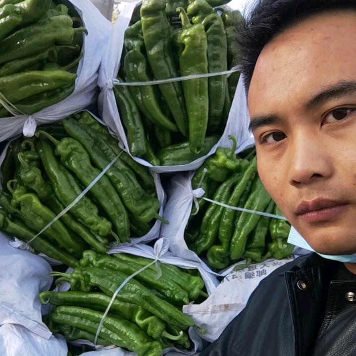 小张果蔬全国代发