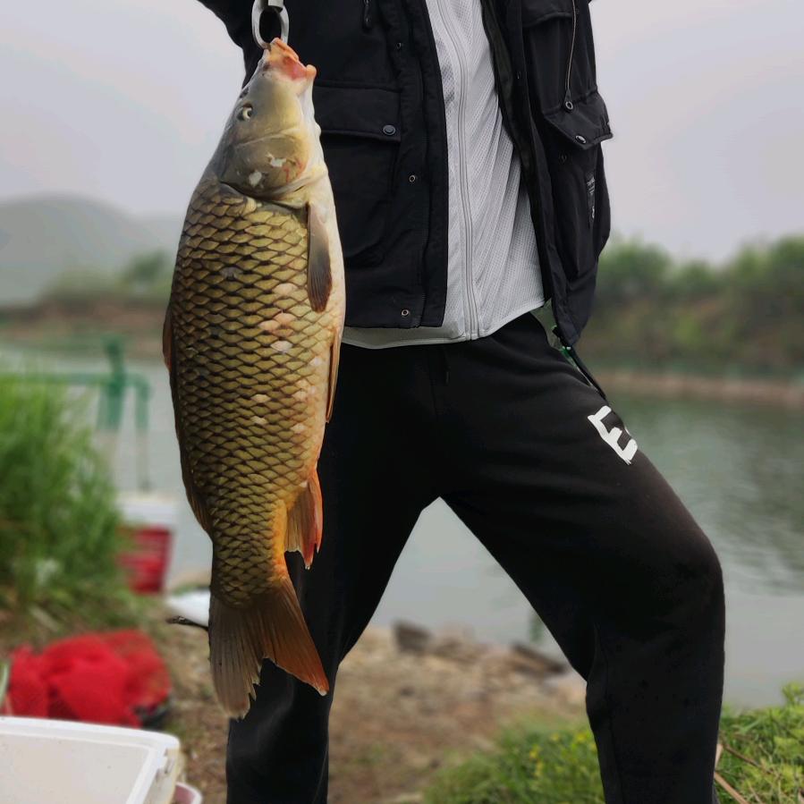 杨仔爱钓鱼