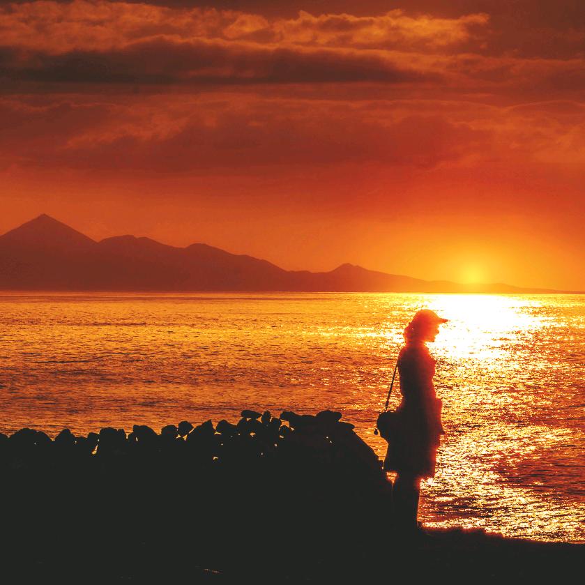 阳光🌞