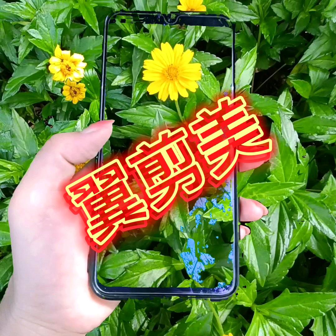 翼剪美