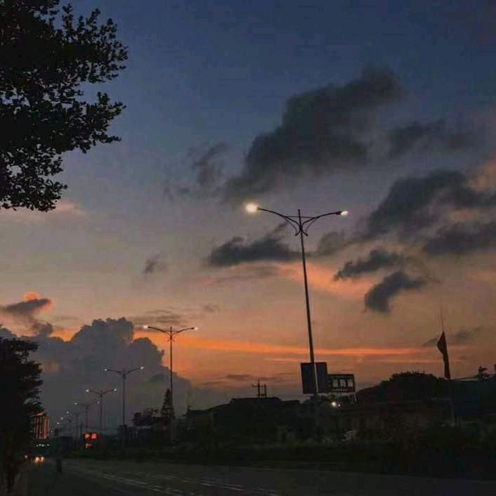 小杨