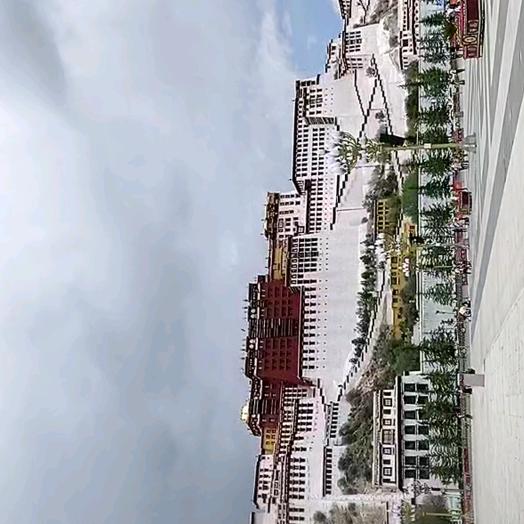 仰头让眼泪流回眼眶