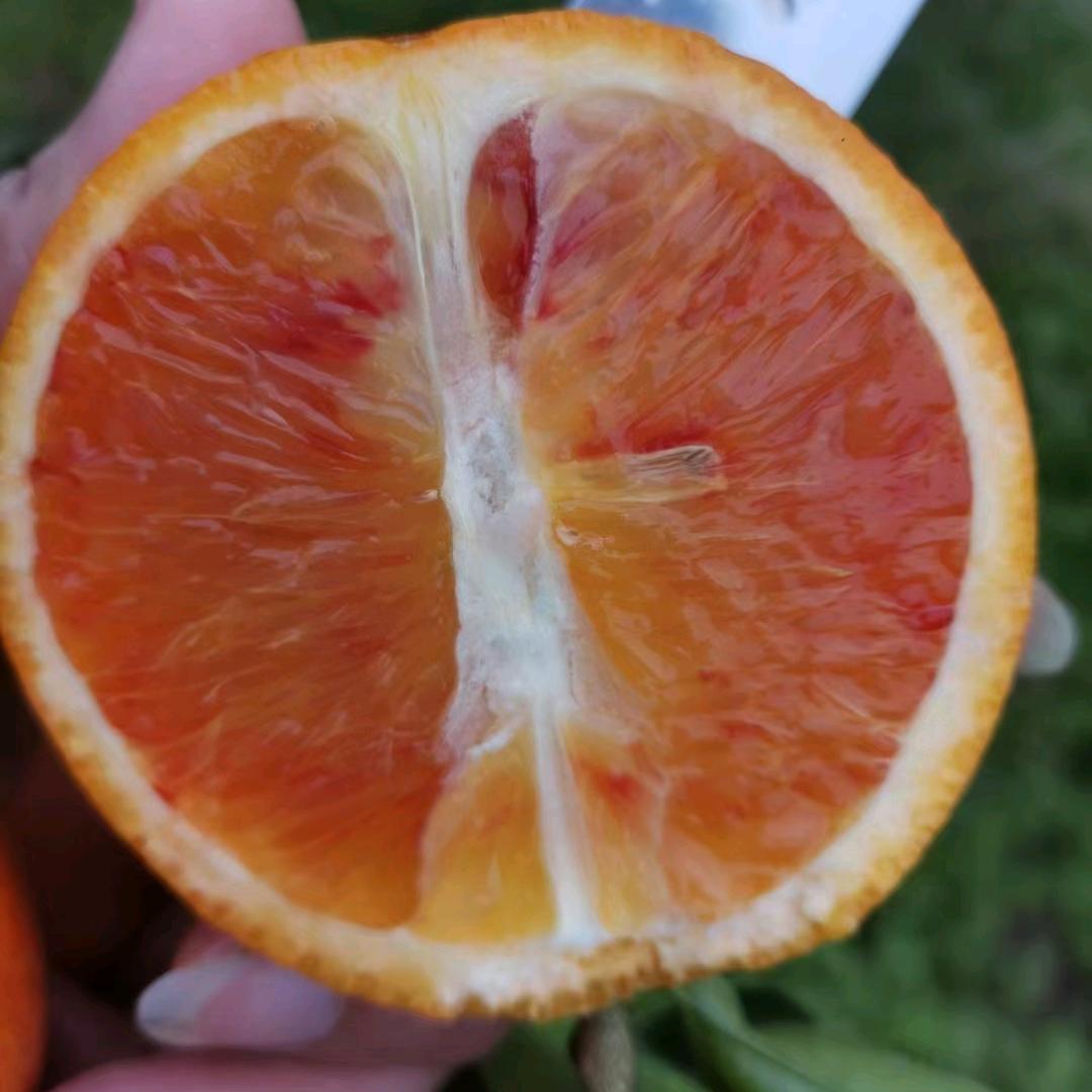 Aa农家小院林秋平