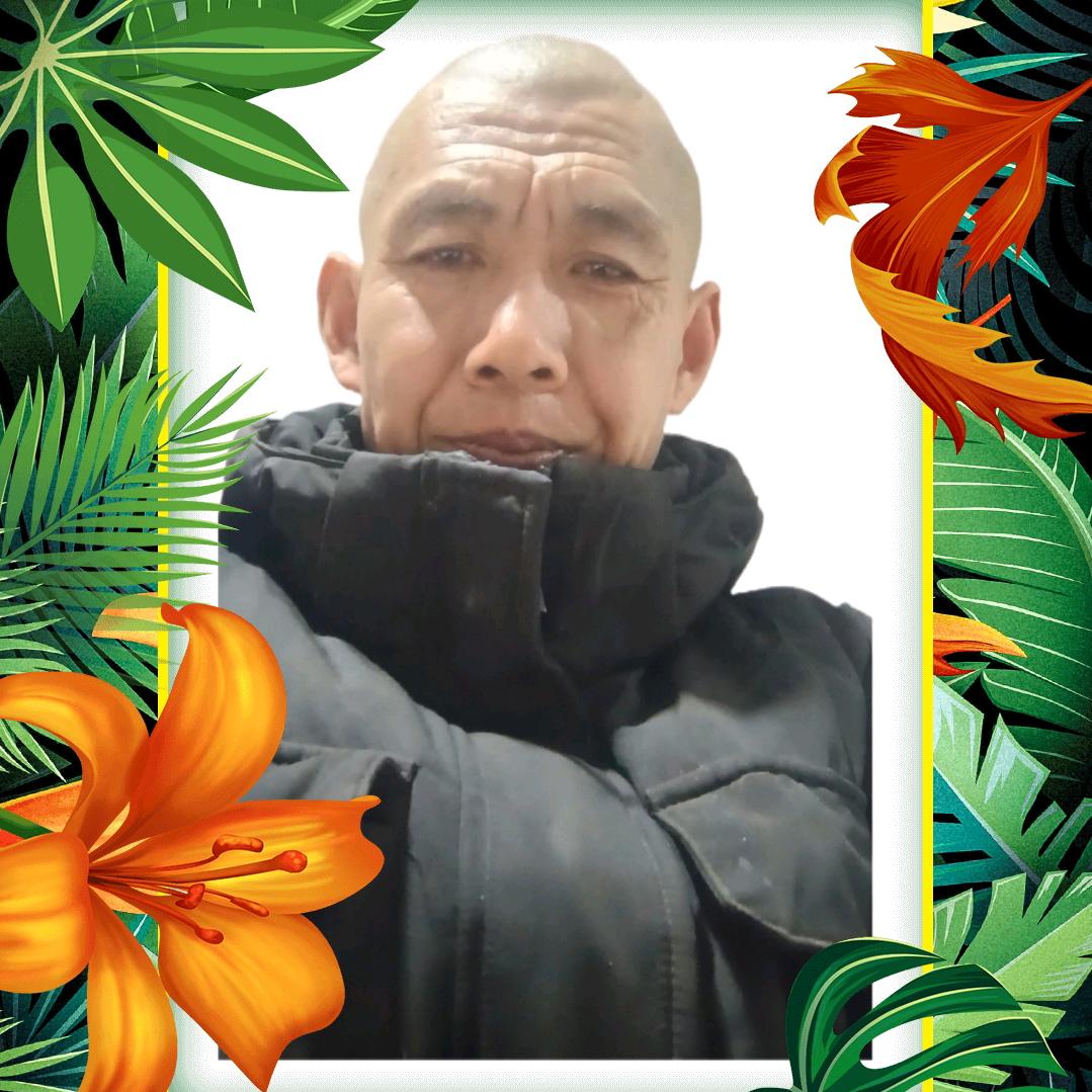 快乐的哈士奇。