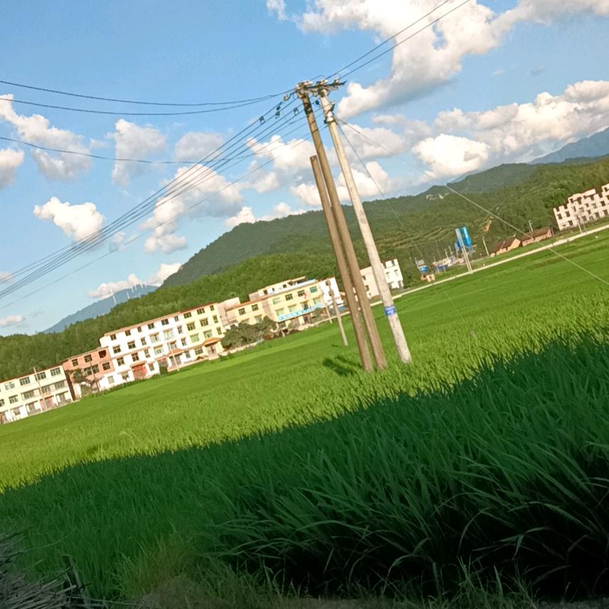 混混