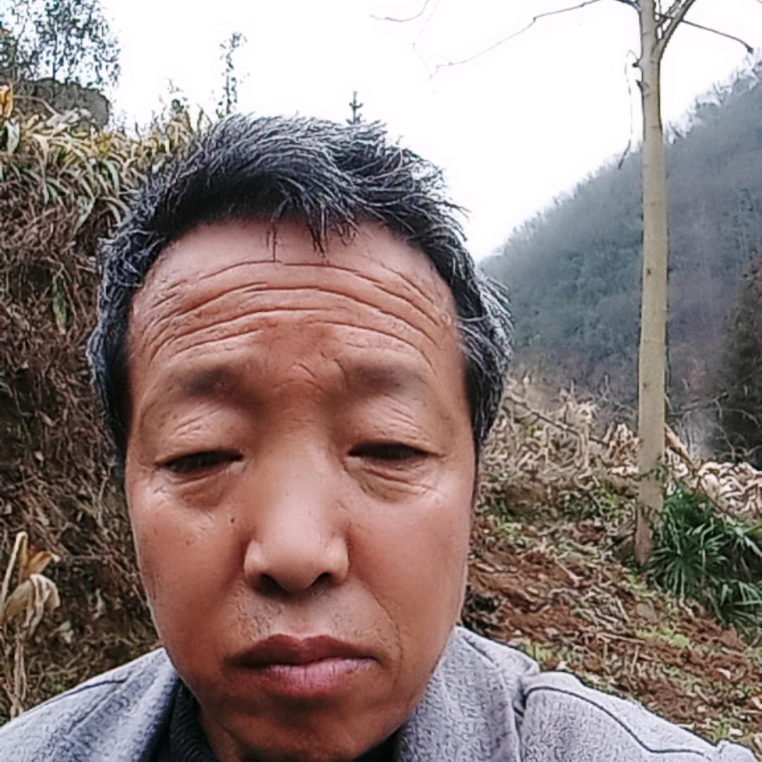 大郎哥（晚7：20开播）