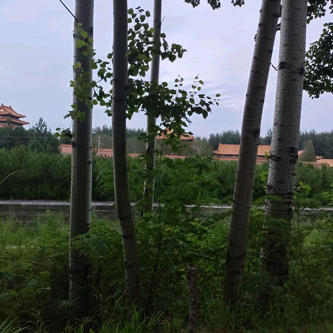 用户2041779365635