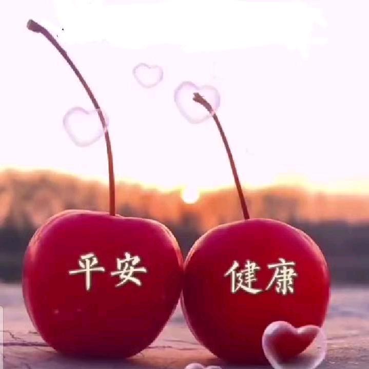 小庭庭