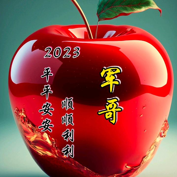 榴你一生，莲你一世