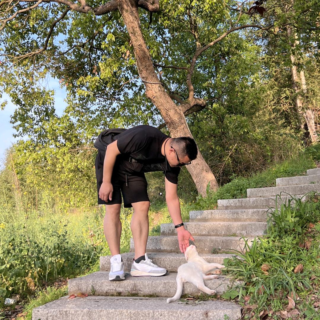 ¥才￥宝￥🌿🌿