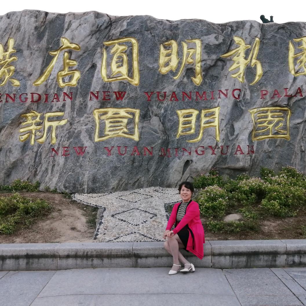 Z心想事成